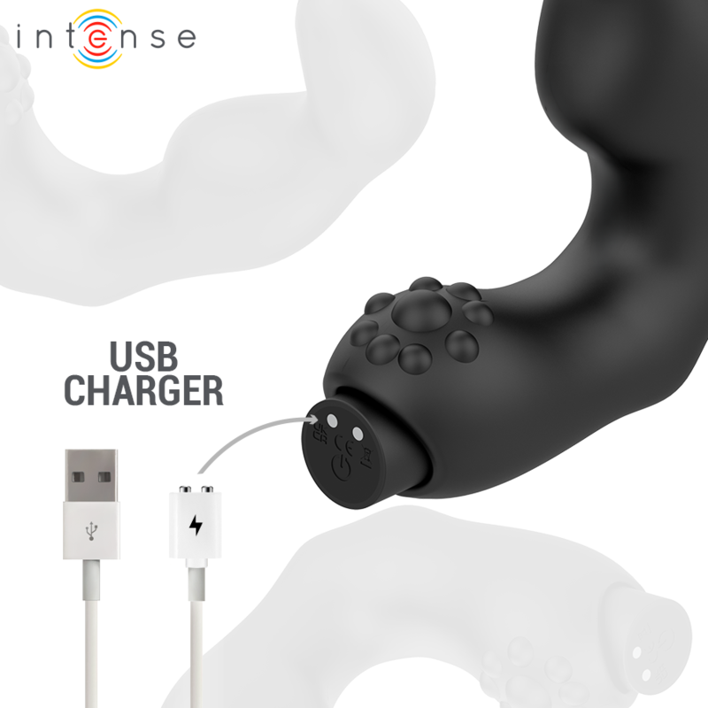 Masseur de Prostate Henry 10 Modes USB Silicone Noir - Intt For Him