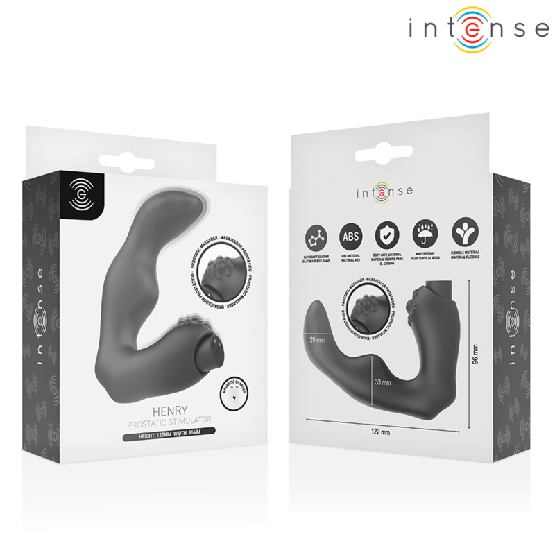 Masseur de Prostate Henry 10 Modes USB Silicone Noir - Intt For Him